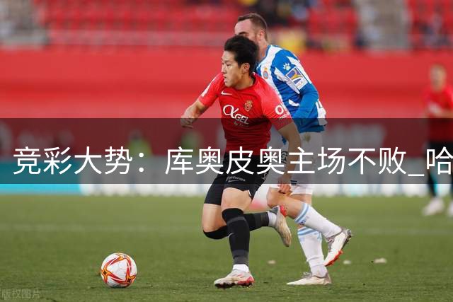 竞彩大势：库奥皮奥主场不败 哈茨有望赢球