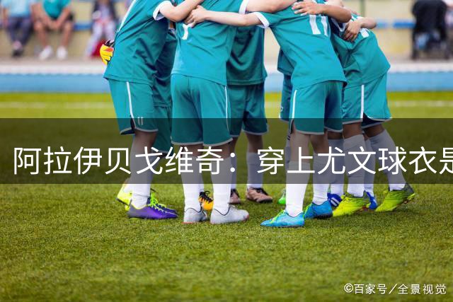 阿拉伊贝戈维奇：穿上尤文球衣是巨大荣誉，我已迫不及待想开始了
